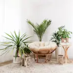A soft, white, fluffy chair in the corner of the room with multiple green indoor plants surrounding it.